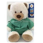 Plush Toy Factory - Green Doctor Bear Toy