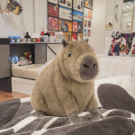 Plush Toy Manufacturer - Realistic Capybara Plush
