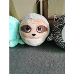 Inflatable Toy Factory - 45cm Animal Head Ball