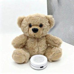 Plush Toy Factory - Recordable Singing Bear