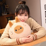 Round Plush Pillow Manufacturer - OEM Custom Panda Cat Design