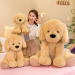 Labrador Plush Toy Factory - OEM Custom 40-80cm Dog Toy