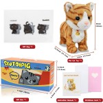 Cat Plush Toy Factory - OEM Custom Interactive Robot Voice