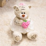 Plush Toy Factory - OEM/ODM Valentine's Day Princess Bear
