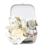 Baby Gift Set Factory - OEM Custom 9pcs Shower Set