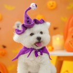 Pet Hat Manufacturer - OEM Custom Knitted Wizard Design