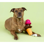 Dog Plush Toy Manufacturer - OEM Custom Chew Play Design