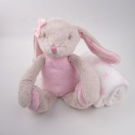 Baby Blanket Manufacturer - OEM Custom 2 in 1 Floral