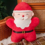 Christmas Cushion Factory - OEM Custom 45cm Santa Pillow
