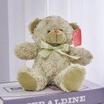 Teddy Bear Manufacturer - OEM Custom Seven-Color Plush