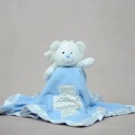 Teddy Bear Supplier - OEM Custom Velour Comforter Blanket