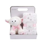 Baby Blanket Factory - OEM Custom Fleece Box Set