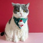 Pet Scarf Supplier - OEM Custom Triangle Collar Design