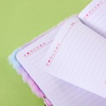 Diary Book Supplier - OEM Custom Fishtail Lock Design