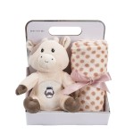 Baby Blanket Factory - OEM Custom Fleece Box Set