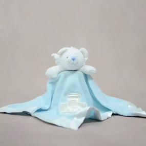 Teddy Bear Supplier - OEM Custom Velour Comforter Blanket