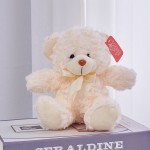 Teddy Bear Manufacturer - OEM Custom Seven-Color Plush
