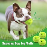 Pet Toy Supplier - OEM Custom 2 in 1 Monster Ball