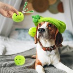 Pet Toy Supplier - OEM Custom 2 in 1 Monster Ball