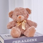 Teddy Bear Manufacturer - OEM Custom Seven-Color Plush