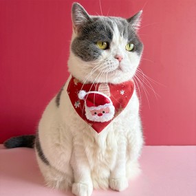 Pet Scarf Supplier - OEM Custom Triangle Collar Design