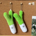 Plush Toy Manufacturer - Vegetable Stuffed Animal Keychain