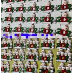 Christmas Ornaments Manufacturer - Tree Decorations Resin Crafts