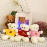 Teddy Bear Manufacturer - Retro Sweater Large Couple Bear