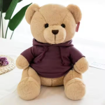 Teddy Bear Hoodie Factory - OEM Custom T-shirt Birthday Gift