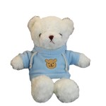 Teddy Bear Plush Supplier - OEM Custom Home Decoration Doll