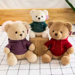 Teddy Bear Hoodie Factory - OEM Custom T-shirt Birthday Gift
