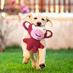 Pet Plush Toy Supplier - OEM Custom Squeaky Interactive