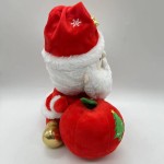 Santa Plush Toy Manufacturer - OEM Custom Apple Christmas Gift