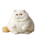 Fatty Cat Pillow Supplier - OEM Custom Soft Fabric Toy