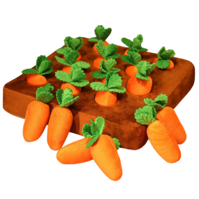 Dog Toy Manufacturer - OEM Custom Teddy Pull Carrots