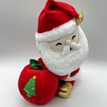 Santa Plush Toy Manufacturer - OEM Custom Apple Christmas Gift
