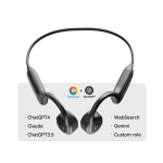 Translation Earbuds Manufacturer - Built-in ChatGPT 4.0 52 Languages