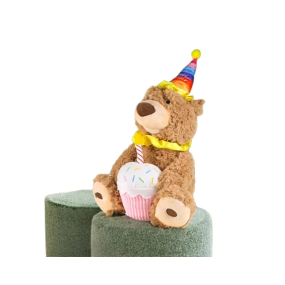 Robot Toy Manufacturer - Voice Recorder Children's Companion