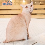 Cushion Factory - 3D Animal Cat Tiger Pillow