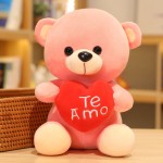 Plush Toy Factory - Valentine's Day Teddy Bear Gift