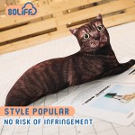 Cushion Factory - 3D Animal Cat Tiger Pillow