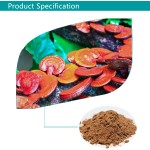 US / EU Warehouse Bulk Plant Extract Ratio 4:1 10:1 12:1 TLC Straight Powder Reishi Mushroom Extract Powder