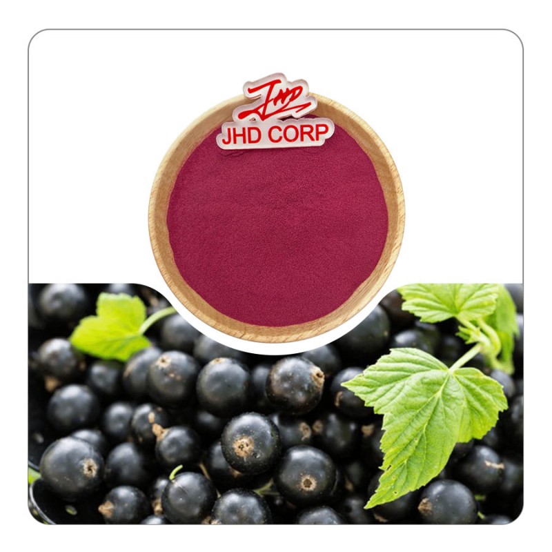 JHD Factory Wholesale Plant Extract Oganic Natural Black Currant Fruit Extract Powder