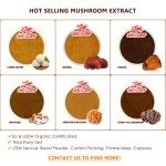 US Canada German Warehouse Stocks Supply Organic Dried Lion's Mane Mushroom Extract Powder
