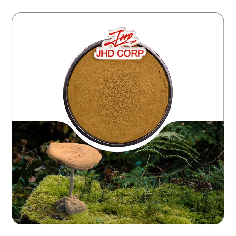 USA/EU Warehouse Wholesale Plant Extract Powder With 30% Polysaccharide Beta Glucan Tiger Milk Mushroom Extract Powder