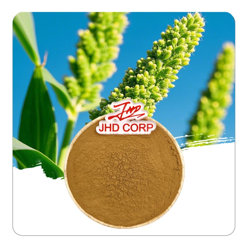 USA EU Warehouse Natural Herbal Extract Panicum Miliaceum Seed Extract Powder 10:1 Millet Seed Extract Powder
