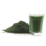 USA EU Warehouse Bulk Organic Broken Wall Chlorella Extract Powder