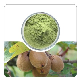 US / EU Warehouse Bulk Plant Extract Freeze-Dried Organic Kiwi Fruit Powder