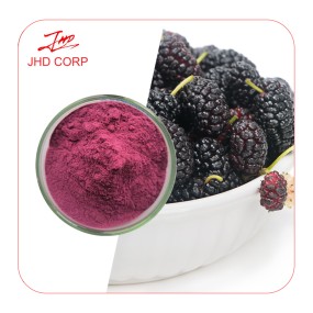 US / EU Warehouse Bulk Supply  Plant Extract Organic 99% Mulberry Fruit Powder