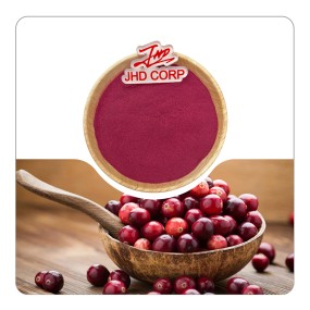 US / EU Warehouse Wholesale Plant Extract Organic No Pigment Fruit Juice Powder 100% Pure Cranberry Powder
